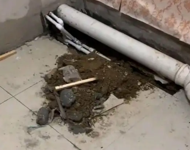 斗门卫生间漏水检测哪家好